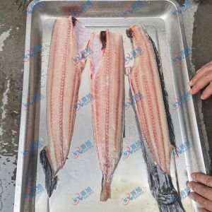 現場試機鯰魚，三枚開片去魚骨機